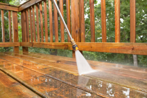 Best Residential Pressure Washing Services  in Coleman, MI