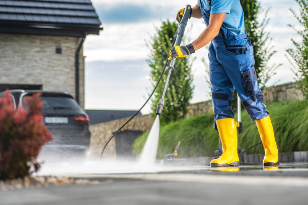 Best Pressure Washing Contractors  in Coleman, MI