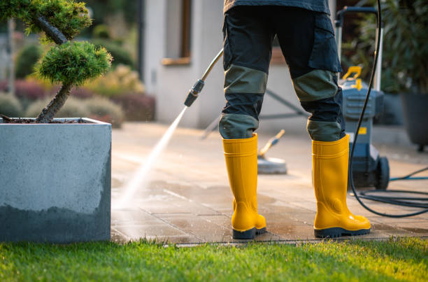 Best Deck Cleaning Services  in Coleman, MI
